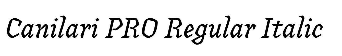 Canilari PRO Regular Italic